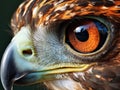 Extreme close-up of a eagle eye, showing the intricate pattern and colors