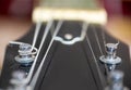 Close up of electric guitar tuning posts
