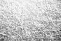 Macro of Diagonal Halftone Gradient Printed in Black and White Royalty Free Stock Photo