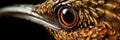 An extreme close - up of a hummingbird beak revealing the intricate texture and structure of this remarkable bird