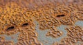 Extreme Close-up of Textured Rusty Metal Surface with Pitted Holes iron steel Royalty Free Stock Photo