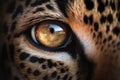 Extreme close up of a leopards eye created with generative AI technology Royalty Free Stock Photo