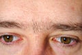 Extreme close up macro eyebrows of a man Royalty Free Stock Photo