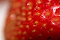 Extreme close-up macro image with strawberry texture Royalty Free Stock Photo