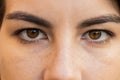 Extreme close-up macro portrait of female Caucasian girl face woman's brown eyes looking at camera Royalty Free Stock Photo