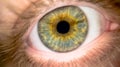 Extreme close-up macro shooting of the human male eye detail Royalty Free Stock Photo