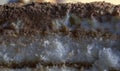 Extreme close up macro shot of a layered formed making an Italian sweet dessert cake or pastry named Tiramisu made with chocolate Royalty Free Stock Photo