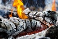 Extreme close up of an outdoor fire burning. Royalty Free Stock Photo