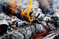 Extreme close up of an outdoor fire burning. Royalty Free Stock Photo