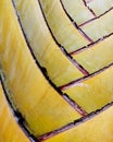 Extreme close-up of palm tree fronds Royalty Free Stock Photo