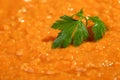 Extreme close up of red lentil stew with a green parsley leaf in it. Homemade, delicious, vegan and healthy meal. Selective focus Royalty Free Stock Photo