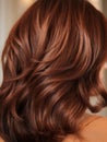 Extreme close-up shot of hair texture, with slight curves brown with copper highlights