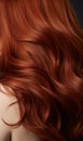 Extreme close-up shot of hair texture, with slight curves brunette with auburn highlights