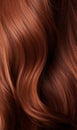 Extreme close-up shot of hair texture, with slight curves brunette with auburn highlights