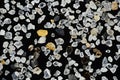 Extreme close-up of sand grains