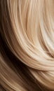 Extreme close-up shot of hair texture, with slight curves blonde with highlights
