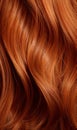 Extreme close-up shot of hair texture, with slight curves brown with copper highlights