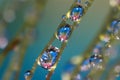 Extreme close up shot of sprayed water droplets on the Moss created with focus stacking multiple images.