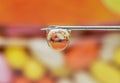 Extreme close up shot of syringe with droplet against colorful pills background Royalty Free Stock Photo