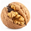 Close-up of a Cracked Walnut Revealing the Kernel and Shell Texture image photo Royalty Free Stock Photo