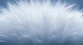 Extreme close-up of soft white down feathers with a subtle blue hue and delicate texture Royalty Free Stock Photo
