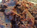 Extreme Close-up of Spiced and Dried Beef Jerky or Dendeng Balado Texture Royalty Free Stock Photo