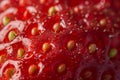 Extreme close-up of strawberry surface texture, focusing on seeds and dimples Royalty Free Stock Photo