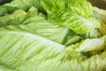 Extreme close-up of the texture of some fresh lettuce leaves recently washed and soaked