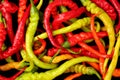 Extreme close up, top down view of many fresh, organic cayenne chili peppers in different colors on a black background Royalty Free Stock Photo