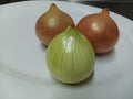 Extreme close up white onion in ovale plate Royalty Free Stock Photo