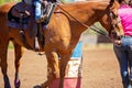 Extreme Close Up Of Woman Leading Young Girl On Horseback In Barrel Race Royalty Free Stock Photo