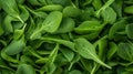 Extreme Closeup of Arugula Leaves AI Generated