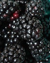 Extreme closeup of Blackberries in vertical aspect