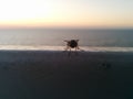 Extreme closeup of fly on cruise ship railing Royalty Free Stock Photo