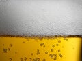 Extreme closeup of gold amber beer with frothy head and bubbles Royalty Free Stock Photo