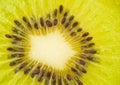 Extreme closeup of kiwi fruit Royalty Free Stock Photo