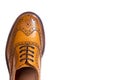 Extreme Closeup of Medalion of One Separate Male Tan Brogue Oxfords Royalty Free Stock Photo