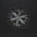 Extreme closeup of natural snowflake