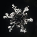 Extreme closeup of natural snowflake