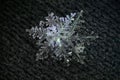 Extreme closeup of natural snowflakes