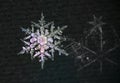 Extreme closeup of natural snowflakes