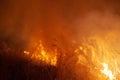 Extreme closeup of raging grass wildfire at night. Inspiration for danger, bushfire warning, posters or memes. Wallpaper or Royalty Free Stock Photo