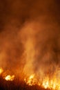 Extreme closeup of raging grass wildfire at night. Inspiration for danger, bushfire warning, posters or memes. Wallpaper. Royalty Free Stock Photo