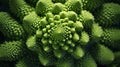 Extreme Closeup of Romanesco Broccoli in Minimal Style AI Generated