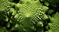 Extreme Closeup of Romanesco Broccoli in Minimal Style AI Generated