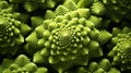 Extreme Closeup of Romanesco Broccoli in Minimal Style AI Generated