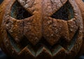 Extreme closeup of a spooky, moldy jack-o-lantern. Royalty Free Stock Photo