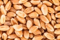 Extreme Closeup Texture of wheat seeds Royalty Free Stock Photo
