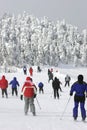 Extreme Cold Downhill Skiing