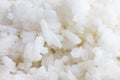 Extreme detail of steamed white rice